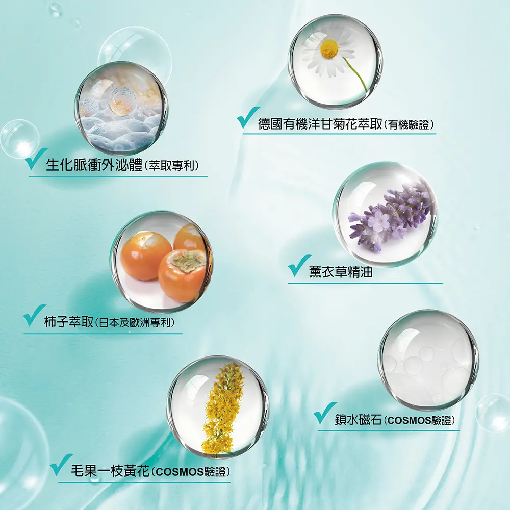 圖文06(1).webp