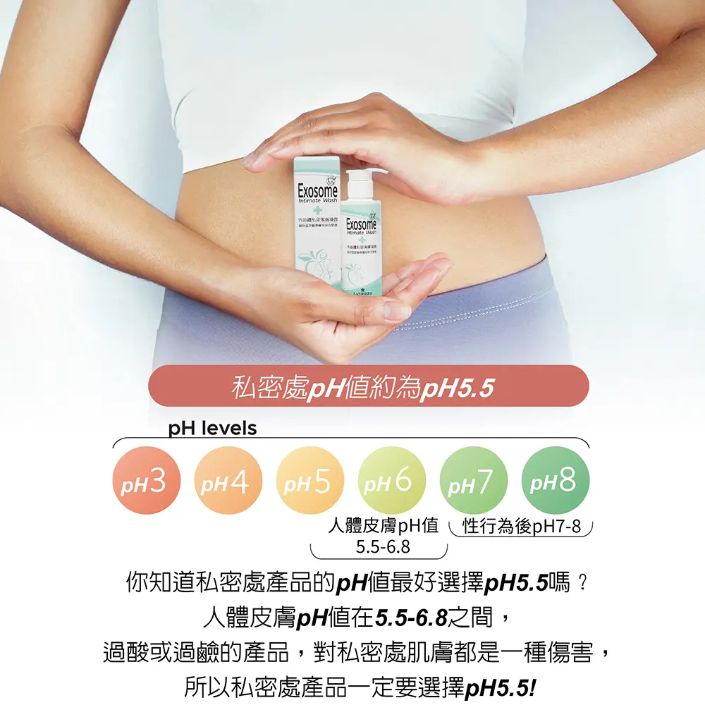 圖文03(1).webp