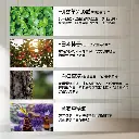 圖文07(1).webp