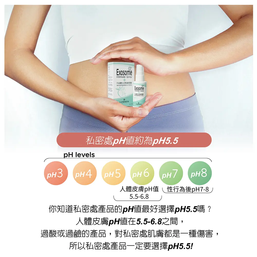 圖文03.webp