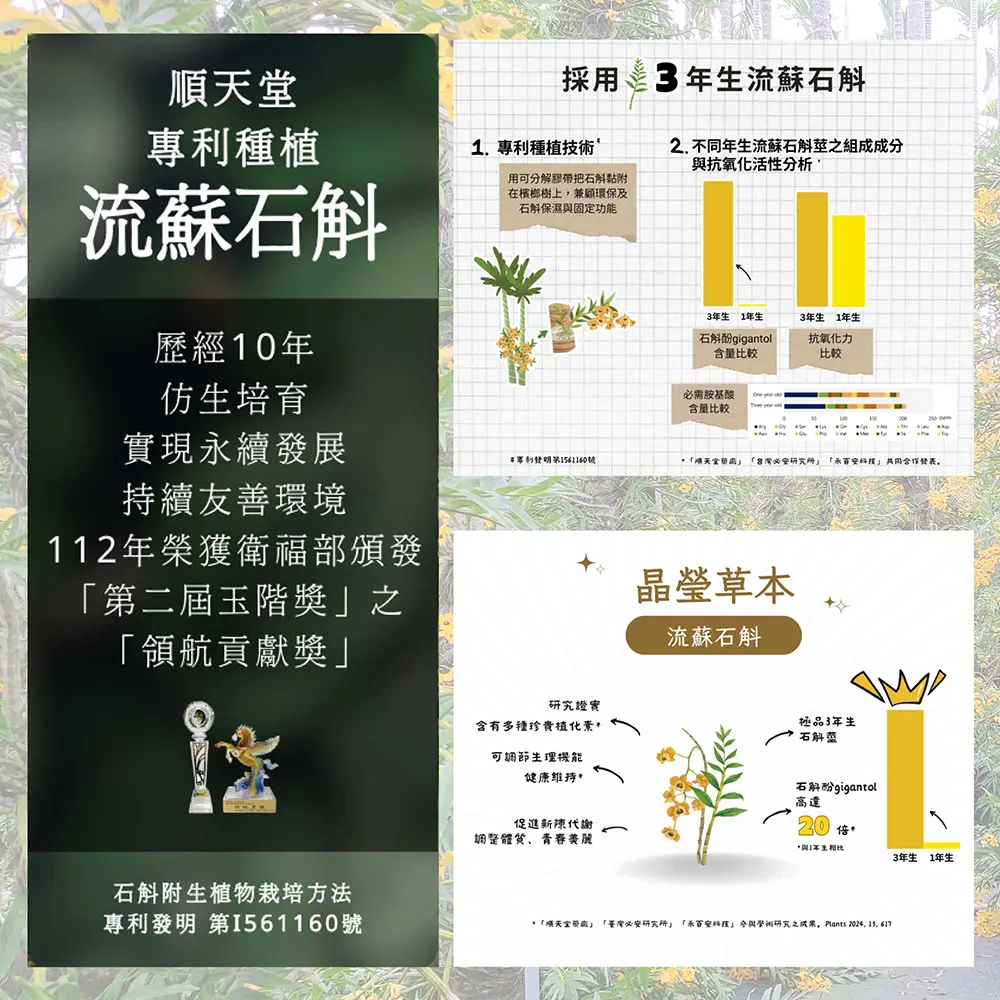 202408-斛光晴明錠_P4修.webp