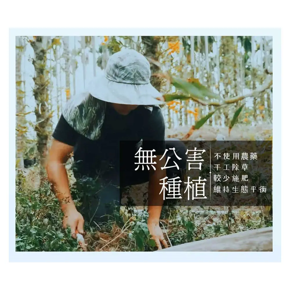 202408-斛光晴明錠_P9修.webp