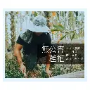202408-斛光晴明錠_P9修.webp