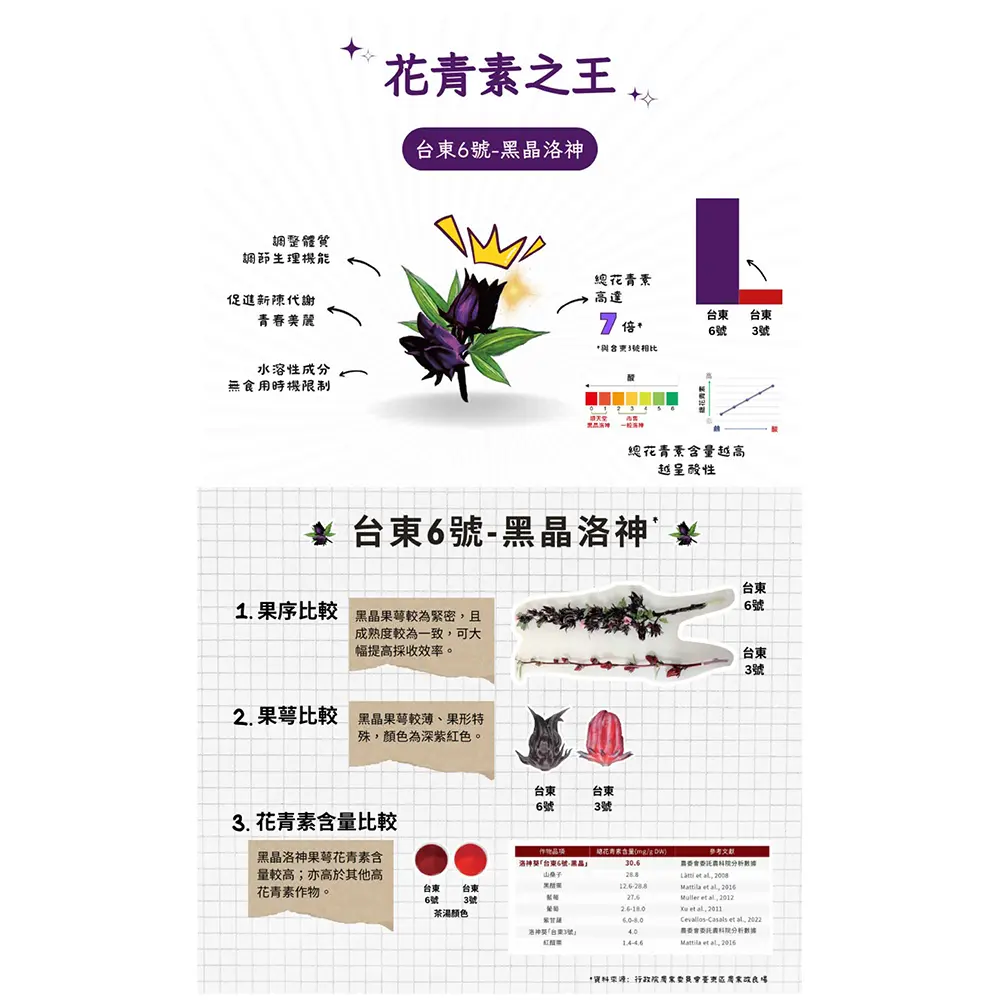 202408-斛光晴明錠_P6修.webp